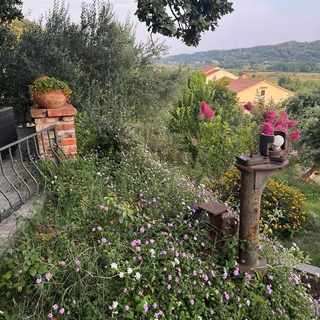Apartments Dumicic Supetarska Draga Dış mekan fotoğraf