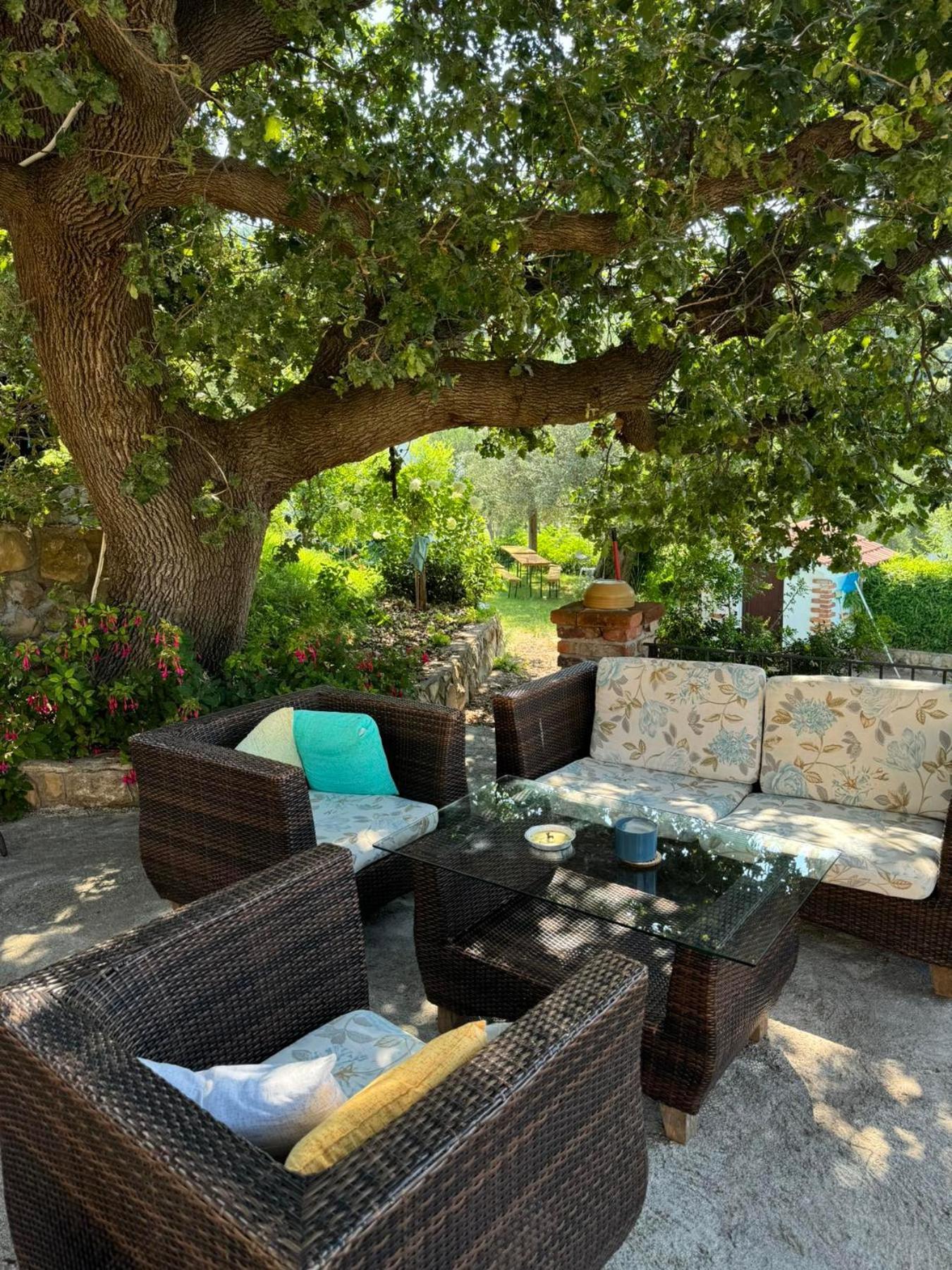 Apartments Dumicic Supetarska Draga Dış mekan fotoğraf