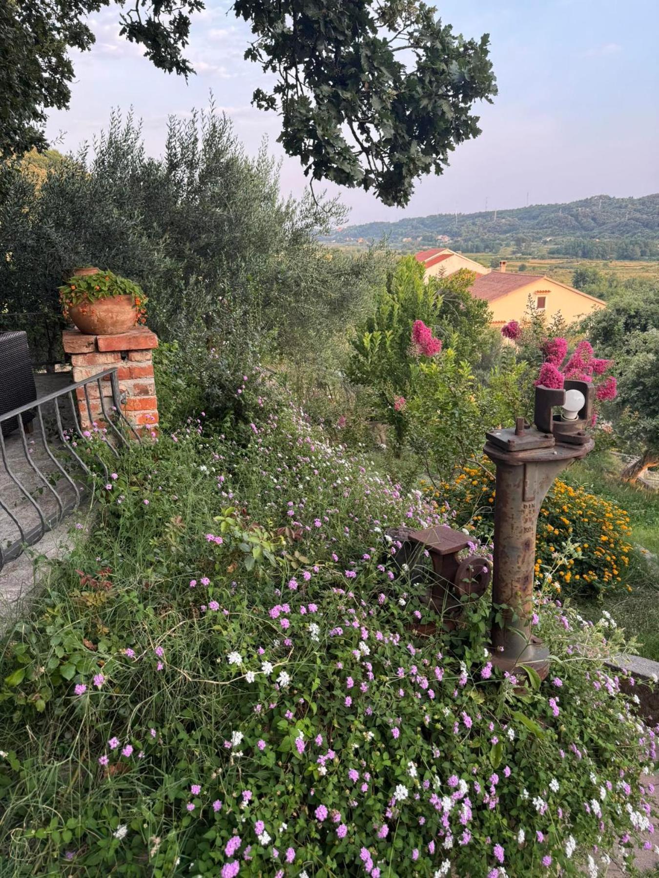 Apartments Dumicic Supetarska Draga Dış mekan fotoğraf