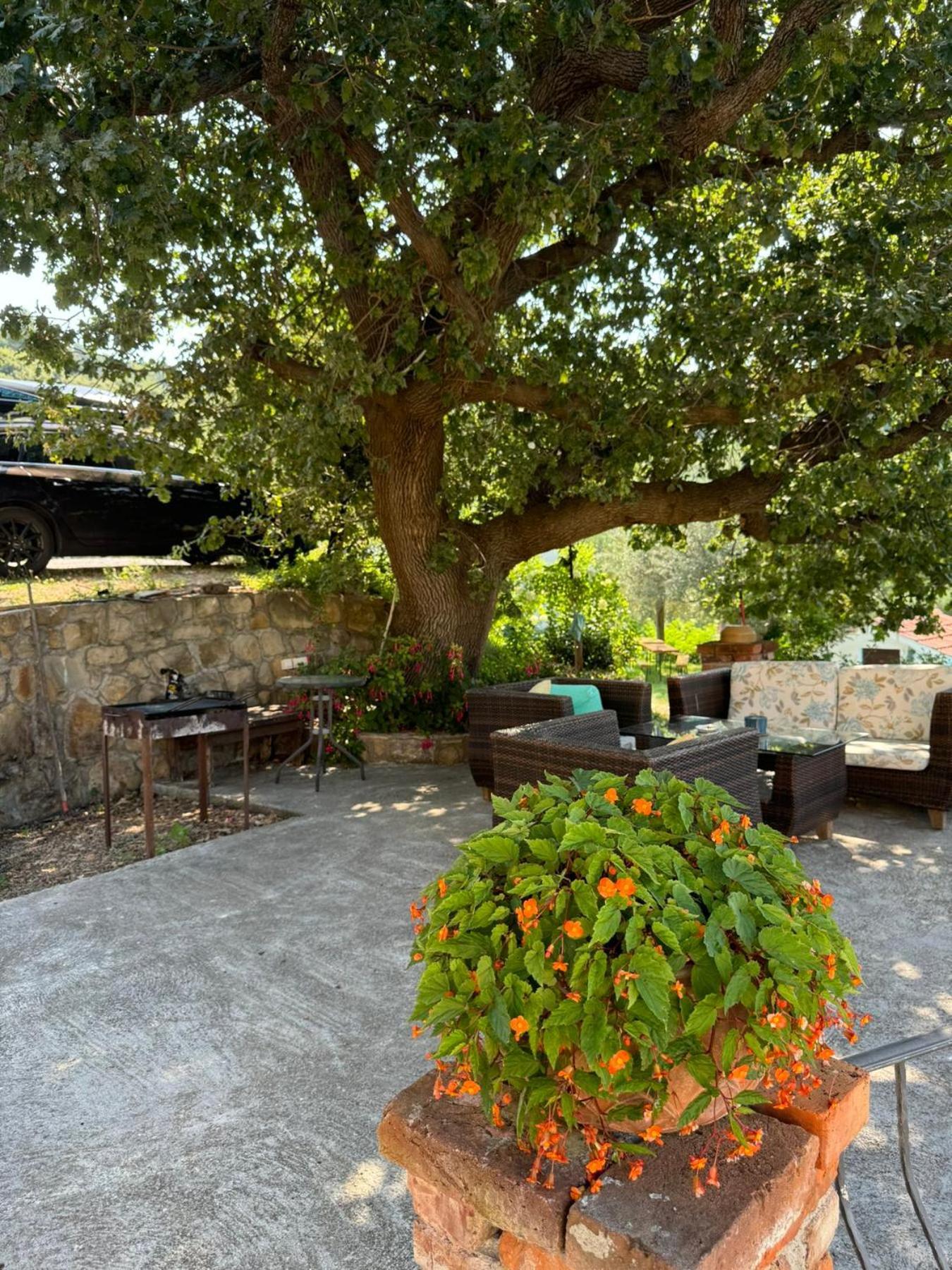 Apartments Dumicic Supetarska Draga Dış mekan fotoğraf