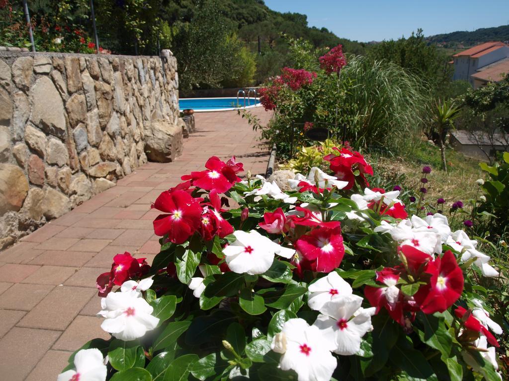 Apartments Dumicic Supetarska Draga Dış mekan fotoğraf